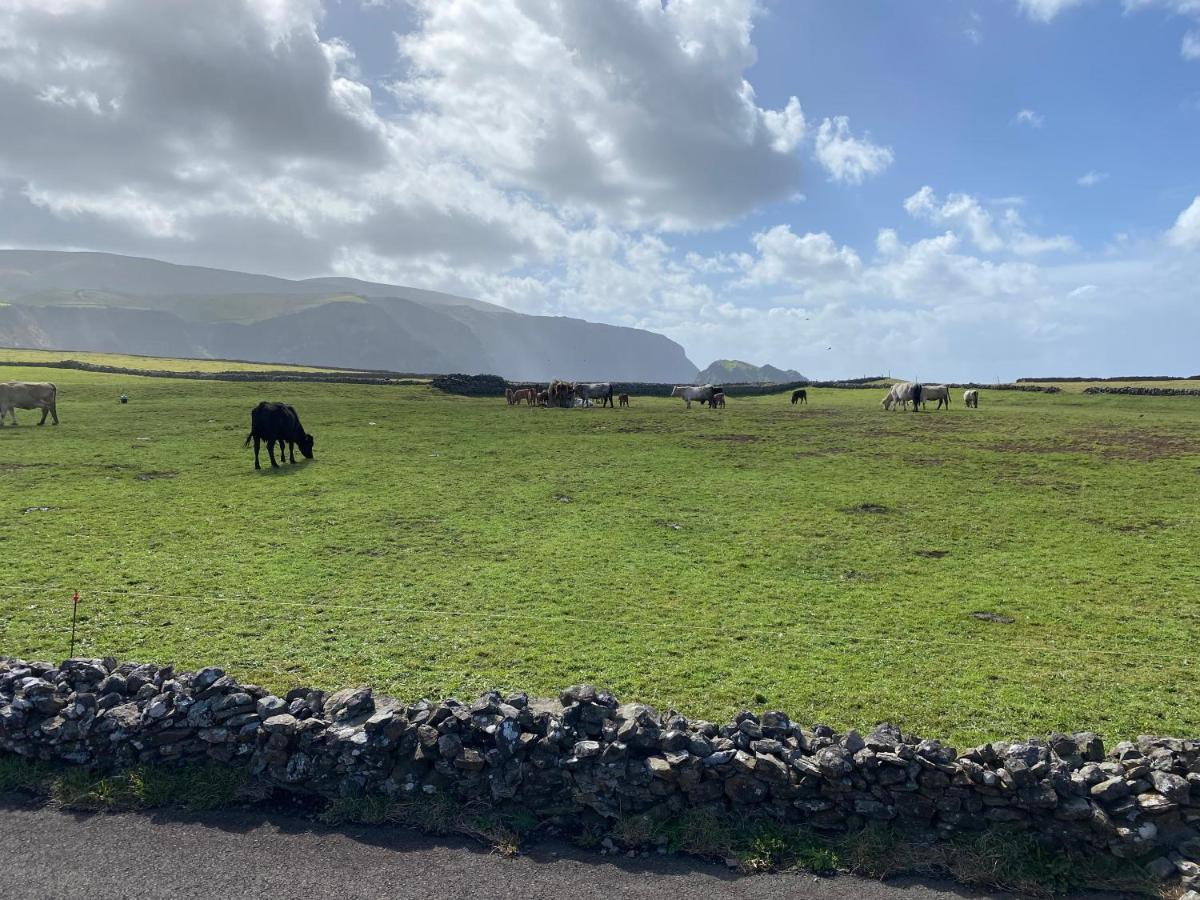 Casa Bela Vista Villa Ponta Delgada  ภายนอก รูปภาพ